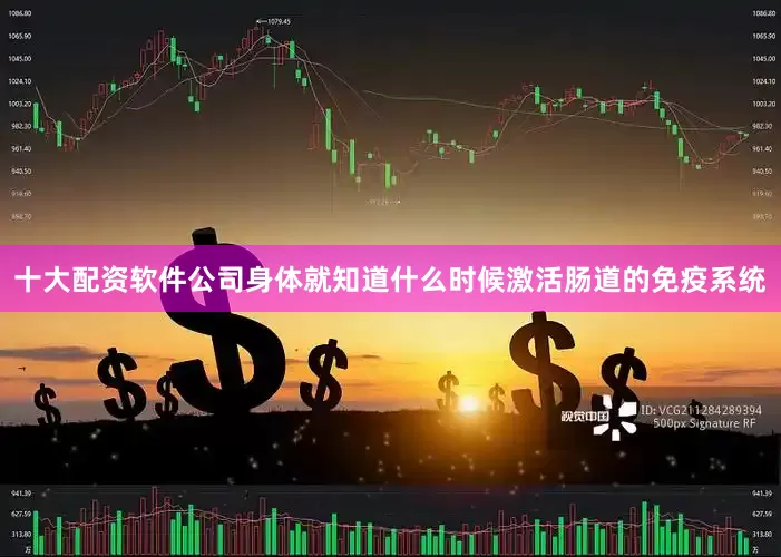 十大配资软件公司身体就知道什么时候激活肠道的免疫系统