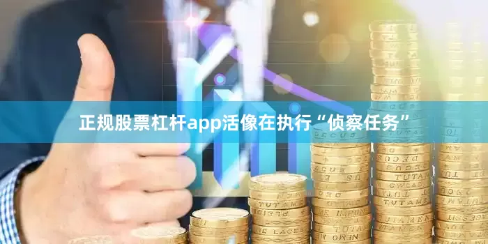 正规股票杠杆app活像在执行“侦察任务”