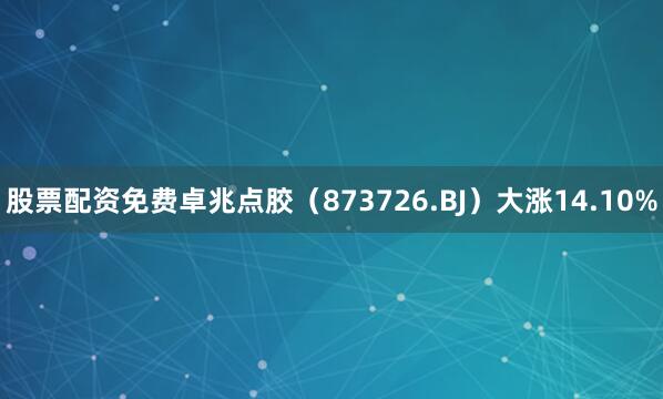股票配资免费卓兆点胶（873726.BJ）大涨14.10%